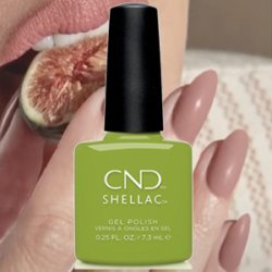 画像1: 【CND  】 廃盤  Shellac・Crisp Green （Autumn Addict 2020秋コレクション） 7.3ml