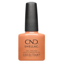 画像1: 【CND  】Shellac・Daydreaming 7.3ml