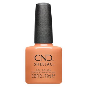 画像: 【CND  】Shellac・Daydreaming 7.3ml