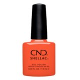 画像: 【CND  】Shellac・IG-Night-ED 7.3ml