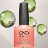 画像: 【CND  】Shellac・Apribot (Dynamic Duality2024秋コレクション) 7.3ml