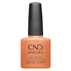 画像1: 【CND  】Shellac・Daydreaming 7.3ml